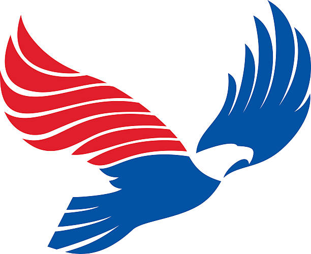 Eagle icon, american eagle, eagle with american flag color